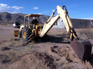 Digging the hole where the tree will go