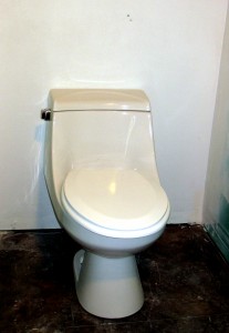 toilet