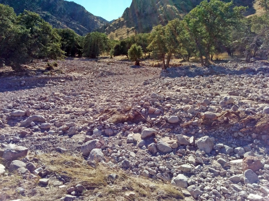 lots of rocks where there used to be dirt